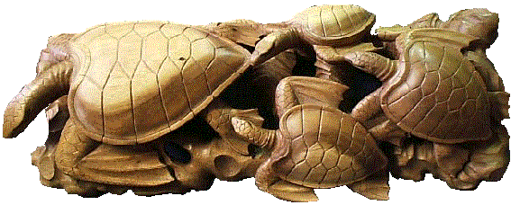 Seaturtle